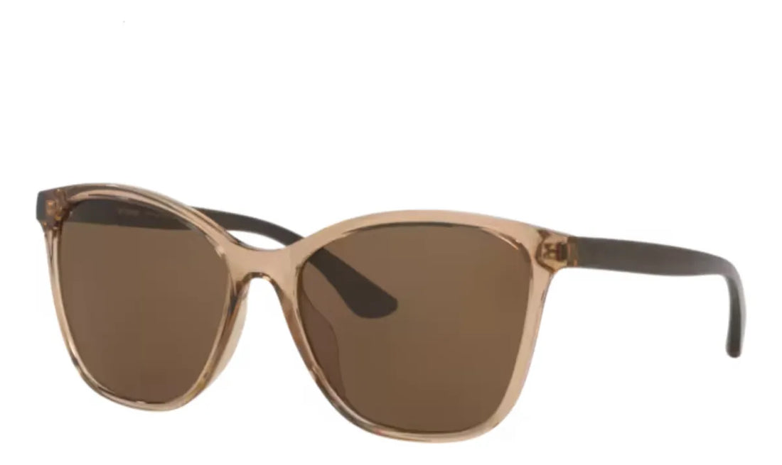 Gafas de Sol TN4041U N101 Mujer color Marron